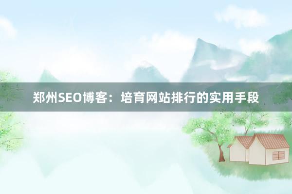 郑州SEO博客：培育网站排行的实用手段