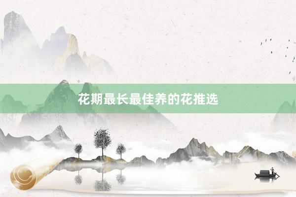 花期最长最佳养的花推选
