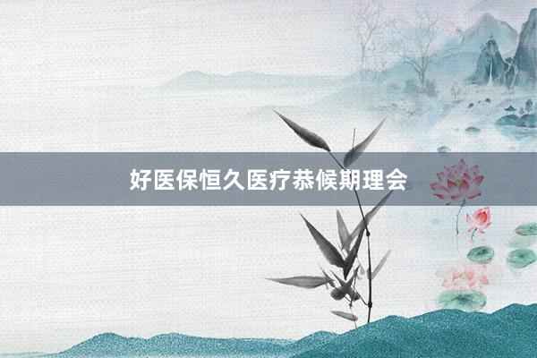 好医保恒久医疗恭候期理会