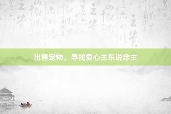 出售宠物，寻找爱心主东说念主