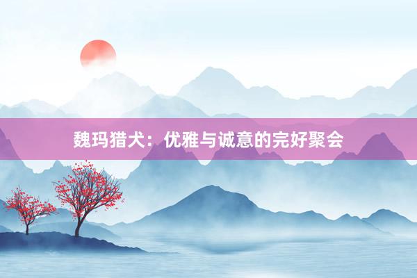魏玛猎犬：优雅与诚意的完好聚会