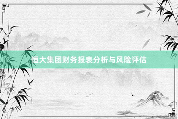 恒大集团财务报表分析与风险评估